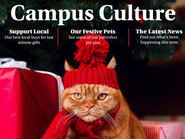 A Festive Campus Culture Edition