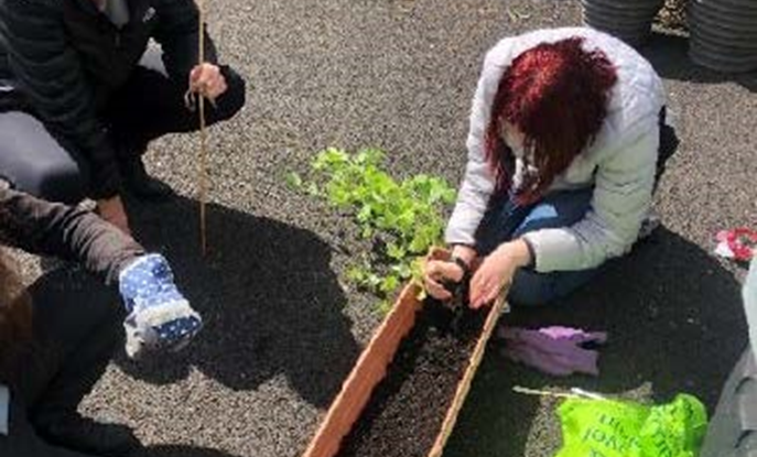 Sensory Garden