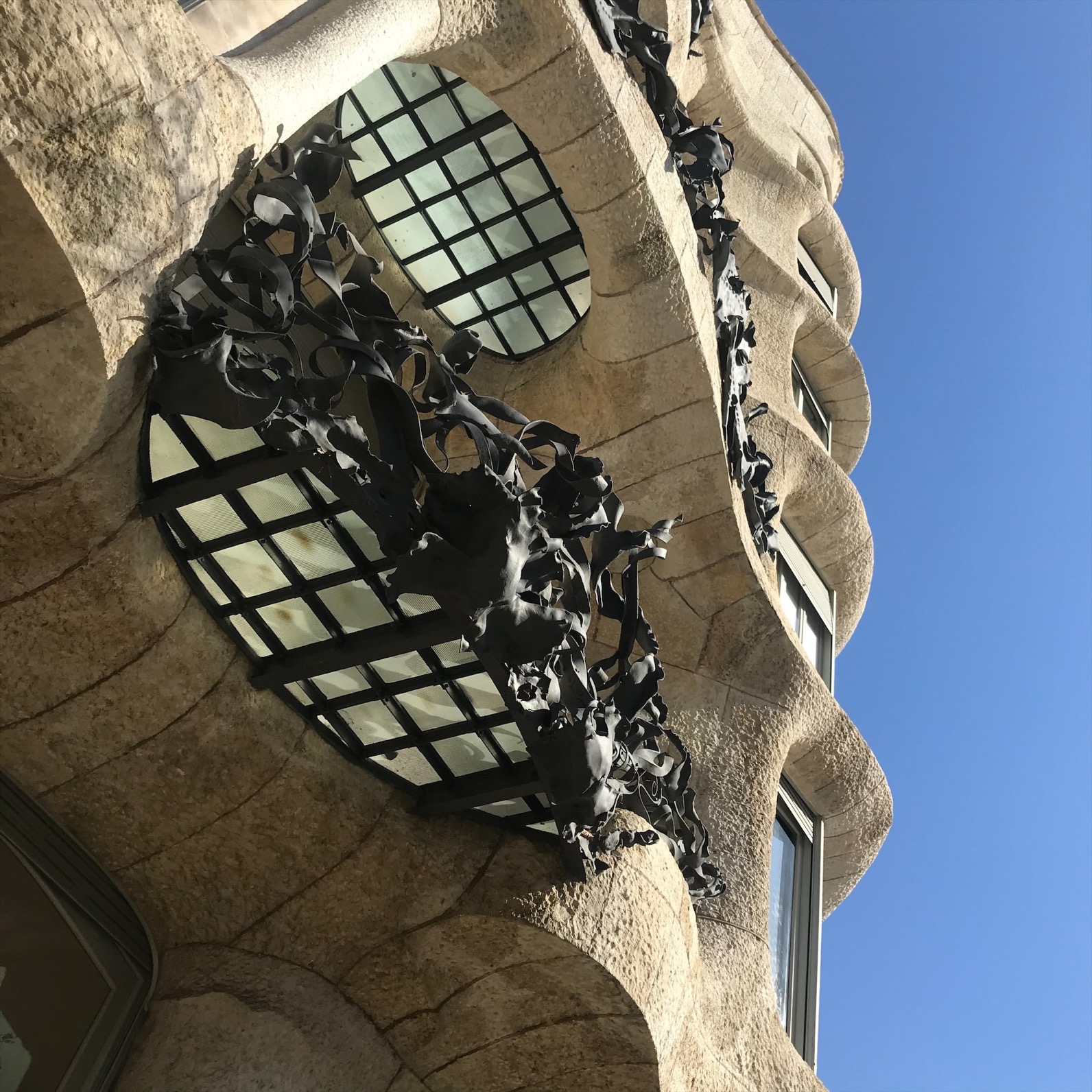 Microsoftteams Image (16)