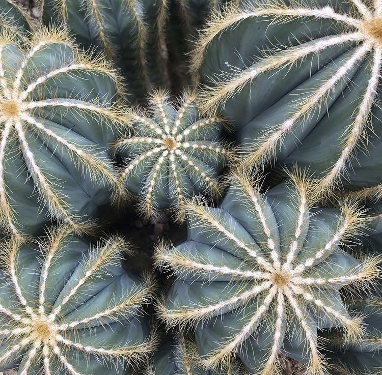 Microsoftteams Image (20)